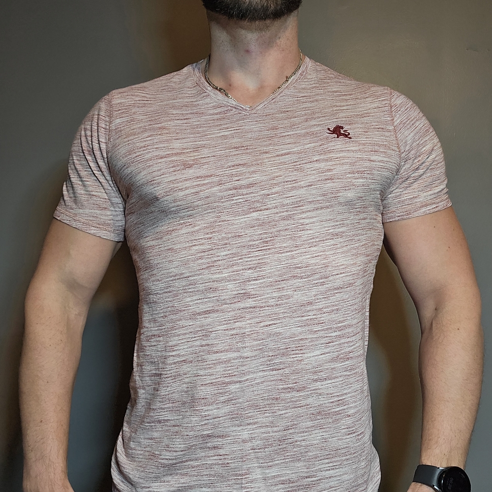 Express Men's Red Heathered Short Sleeve Tee